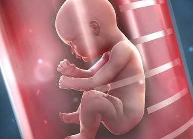 离婚试管婴儿经济补案例分享，想造能否要求赔偿速览