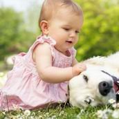 试管婴儿移植后多久坐高铁回家较好？试管婴儿移植后坐车需要注意的事项