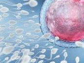 西安哪家医院做人工授精的排名好？