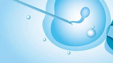 不孕不育在平度市做试管的费用有多少？一文告诉你做三代试管建档的流程有哪些