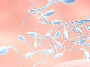 武汉哪家公立医院做三代试管助孕的成功率较高？