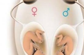 今日介绍！玛祖做泰国三代试管费用全攻略